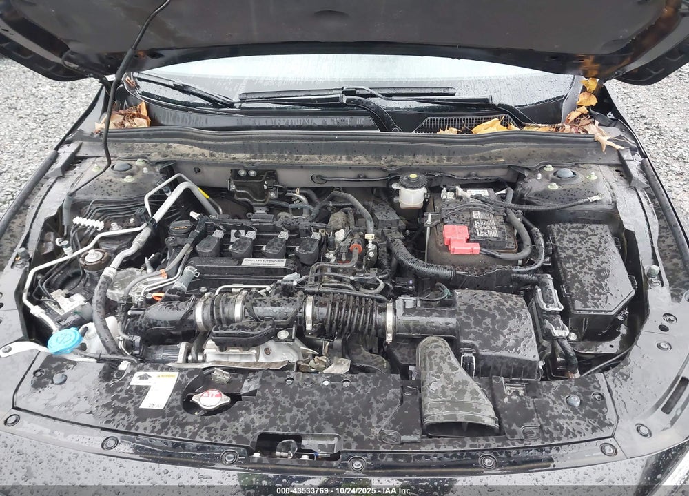 2019 HONDA ACCORD LX VIN: 1HGCV1F15KA049939
