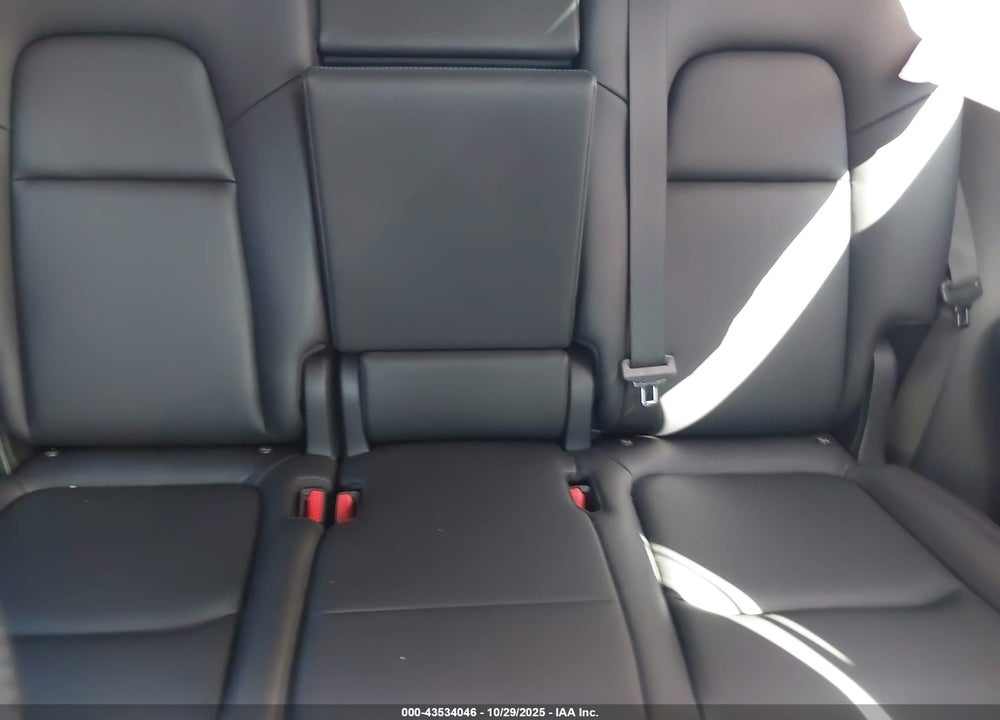 2023 TESLA MODEL Y VIN: 7SAYGAEEXPF591848