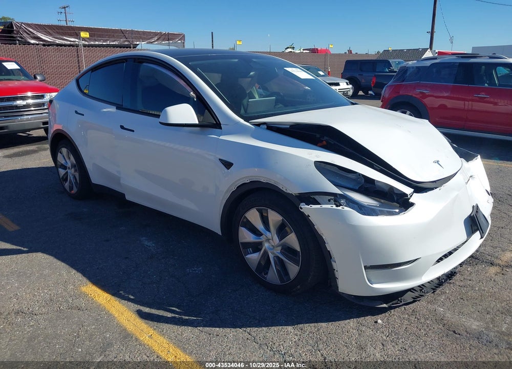 2023 TESLA MODEL Y VIN: 7SAYGAEEXPF591848