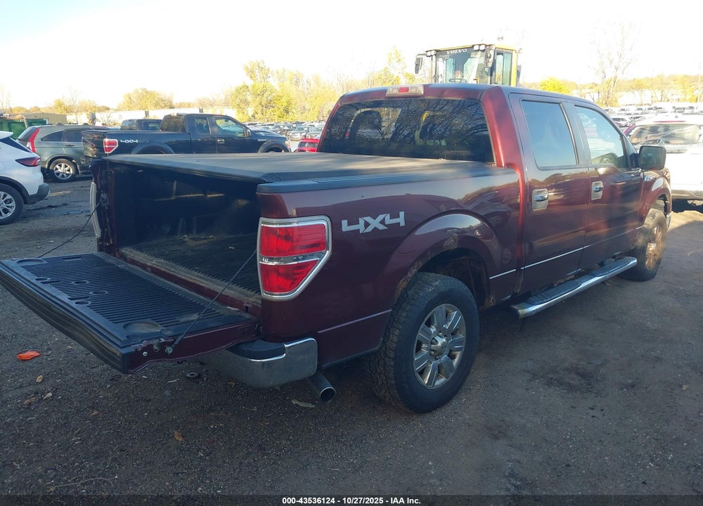 2010 FORD F-150 VIN: 1FTFW1EV1AFD04486