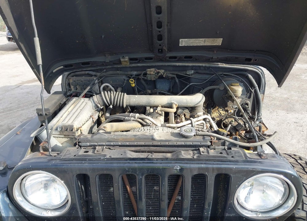 2003 JEEP WRANGLER X VIN: 1J4FA39S33P326930