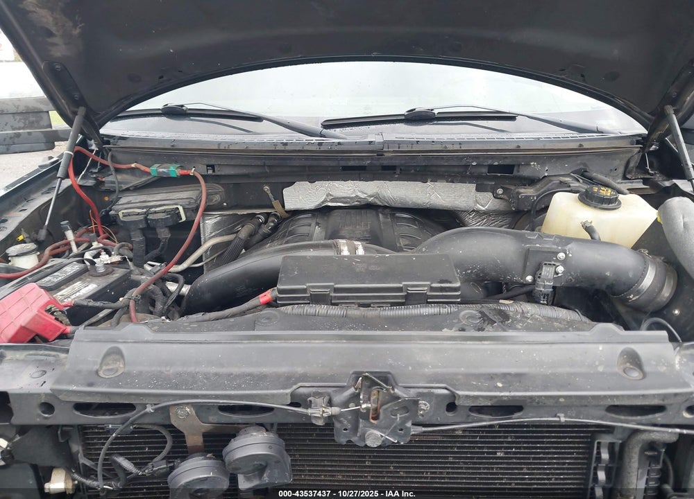 2013 FORD F-150 XLT VIN: 1FTFW1ET4DFD01164