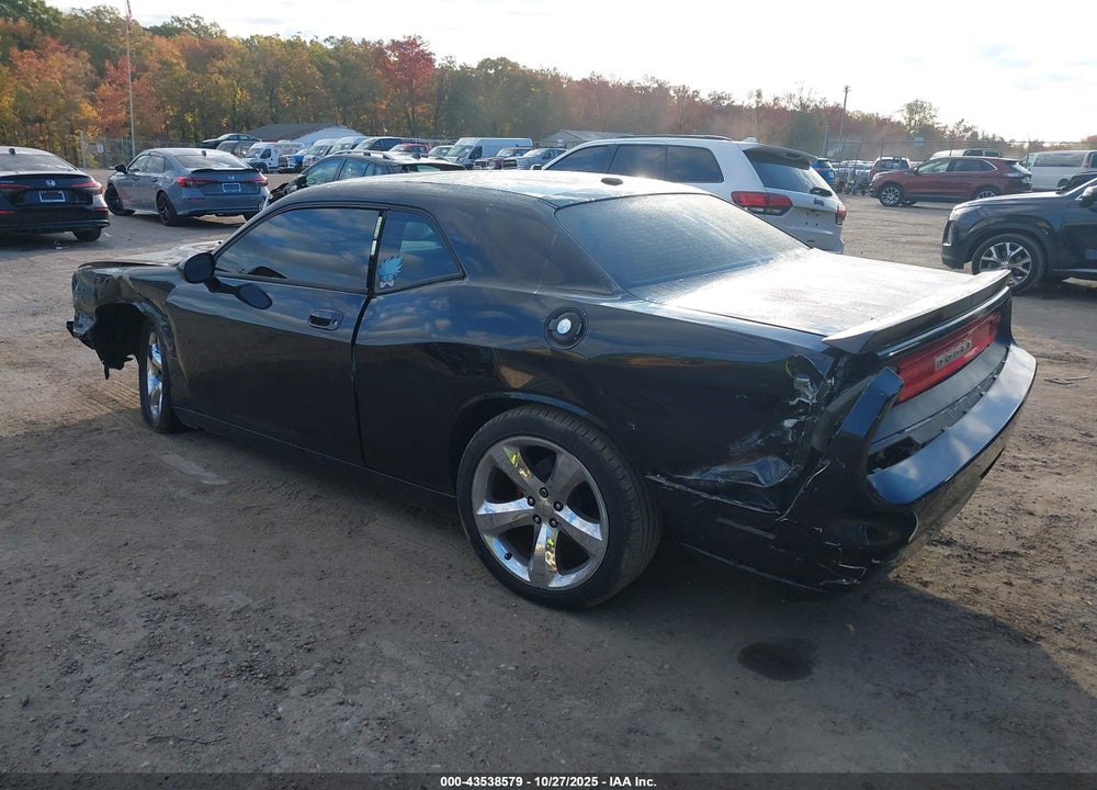 2010 DODGE CHALLENGER SE VIN: 2B3CJ4DV7AH110159