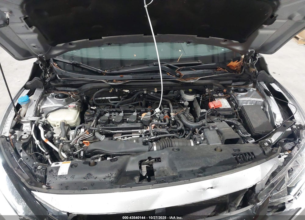 2021 HONDA CIVIC EX VIN: 19XFC1F31ME206062