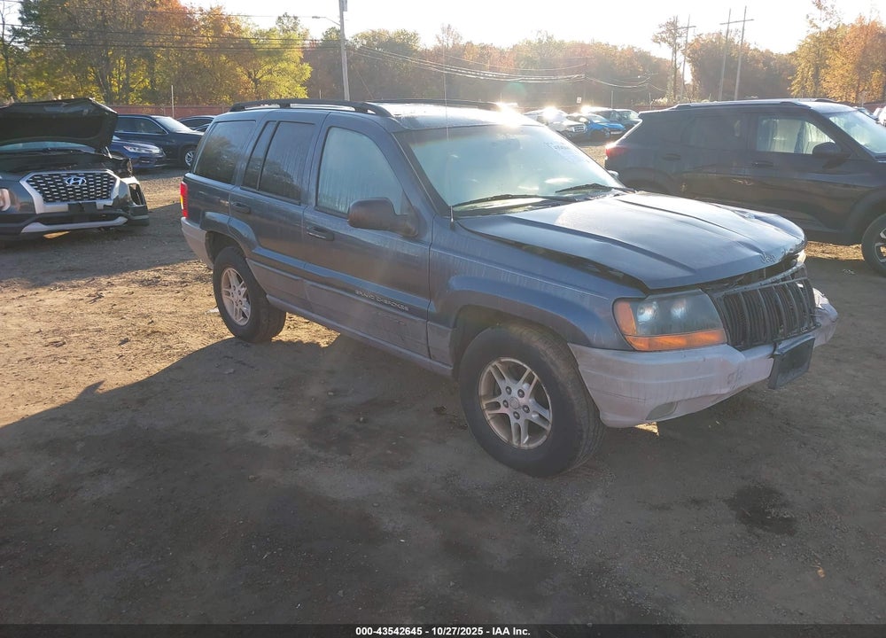 2002 JEEP GRAND CHEROKEE LAREDO VIN: 1J4GW48S62C104272