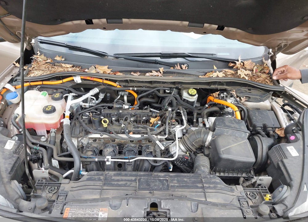 2020 FORD ESCAPE VIN: 1FMCU9BZ1LUA45457