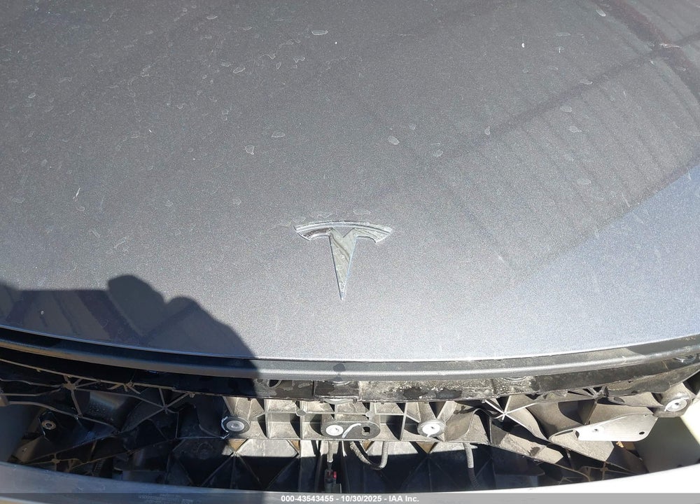 2023 TESLA MODEL Y VIN: 7SAYGDEE0PF877614