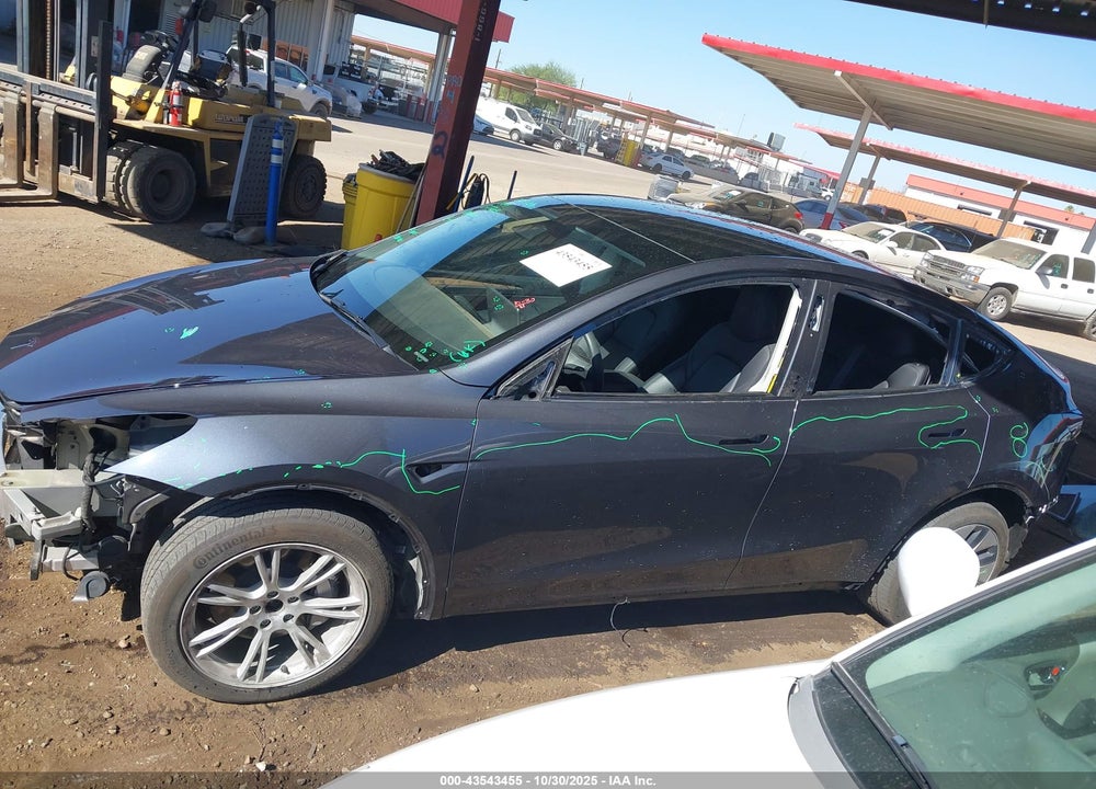 2023 TESLA MODEL Y VIN: 7SAYGDEE0PF877614