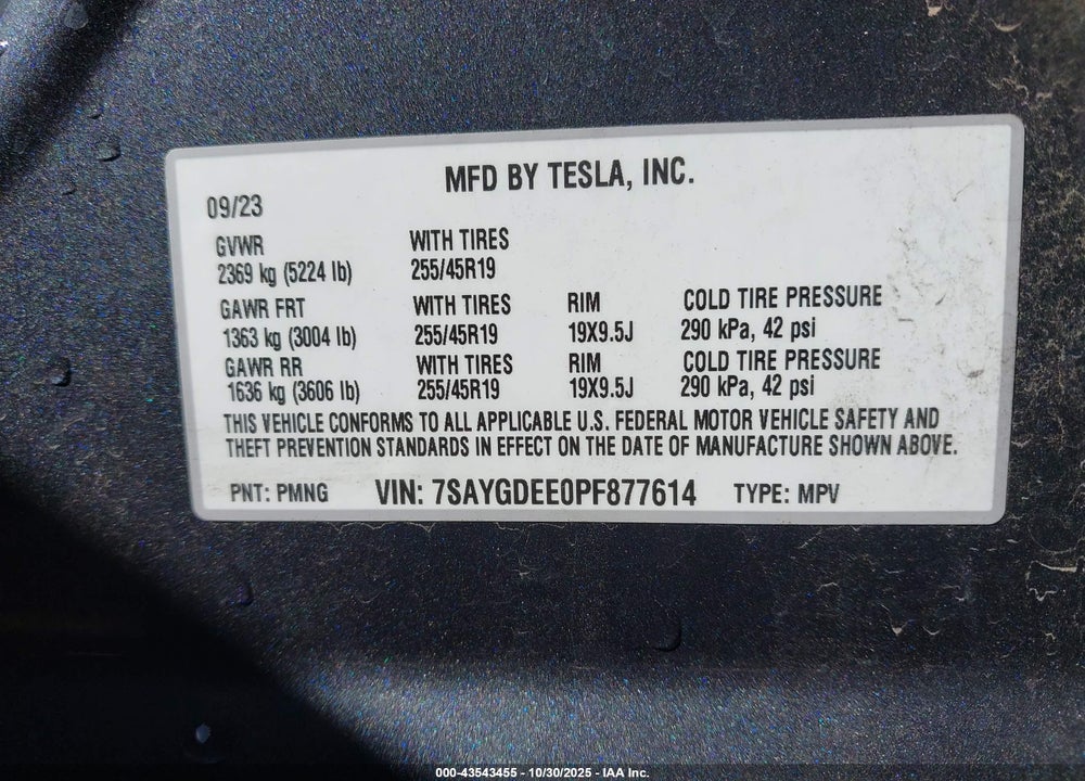 2023 TESLA MODEL Y VIN: 7SAYGDEE0PF877614