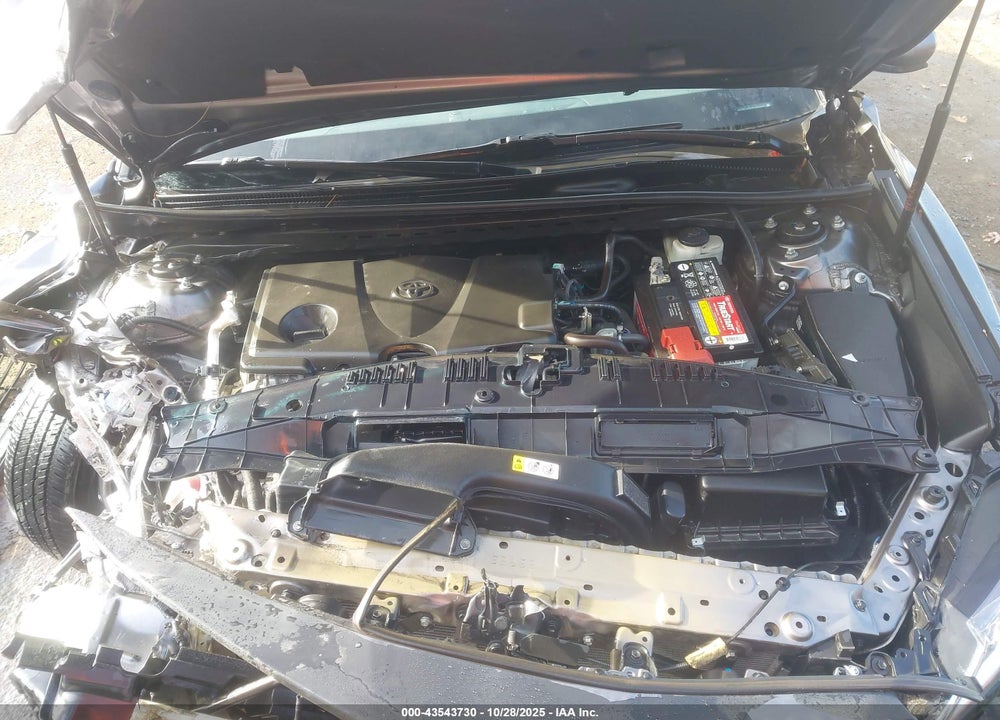 2019 TOYOTA CAMRY VIN: 4T1B11HK3KU203358