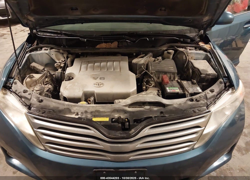 2010 TOYOTA VENZA VIN: 4T3BK3BB6AU037733