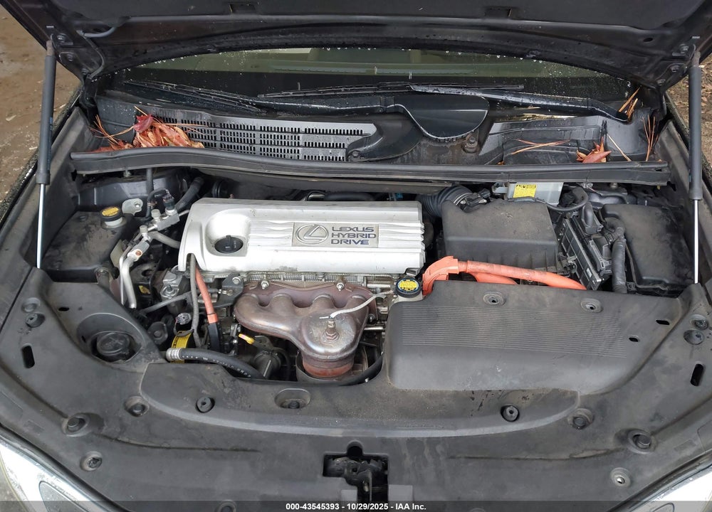 2011 LEXUS HS 250H VIN: JTHBB1BA0B2044732