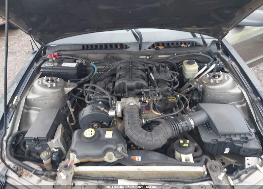 2005 FORD MUSTANG V6 DELUXE/V6 PREMIUM VIN: 1ZVFT80N455245340