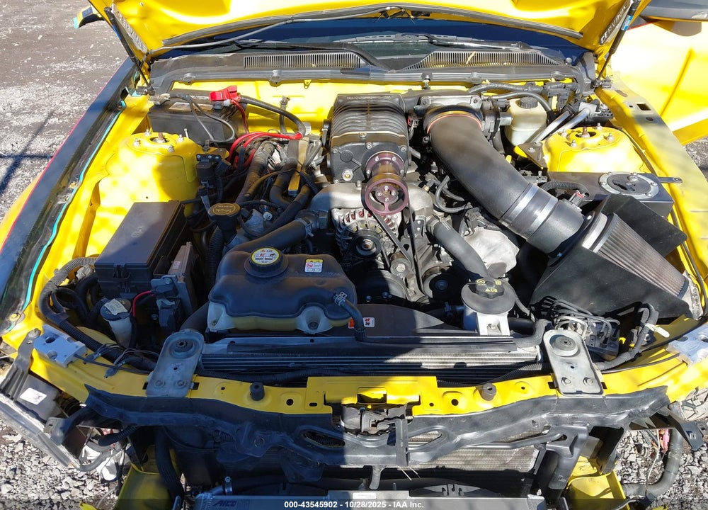 2006 FORD MUSTANG GT VIN: 1ZVFT82H065213851