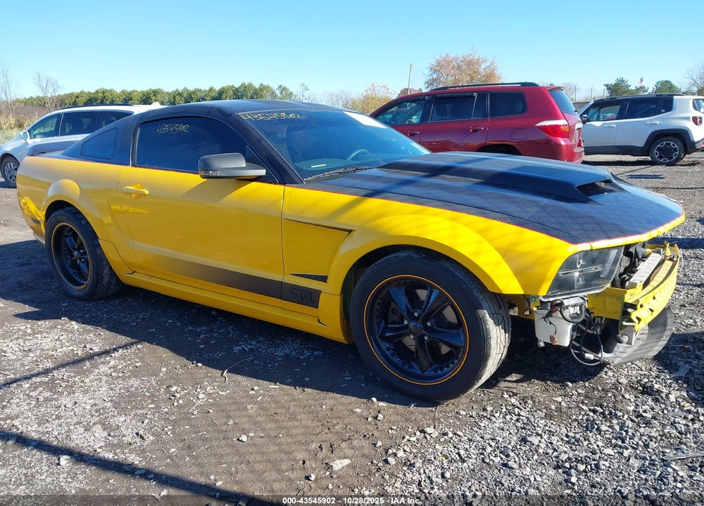 2006 FORD MUSTANG GT VIN: 1ZVFT82H065213851