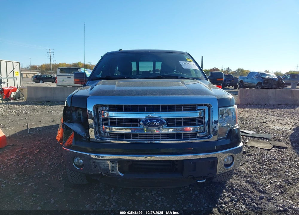 2013 FORD F-150 XLT VIN: 1FTFX1ET1DKD78191