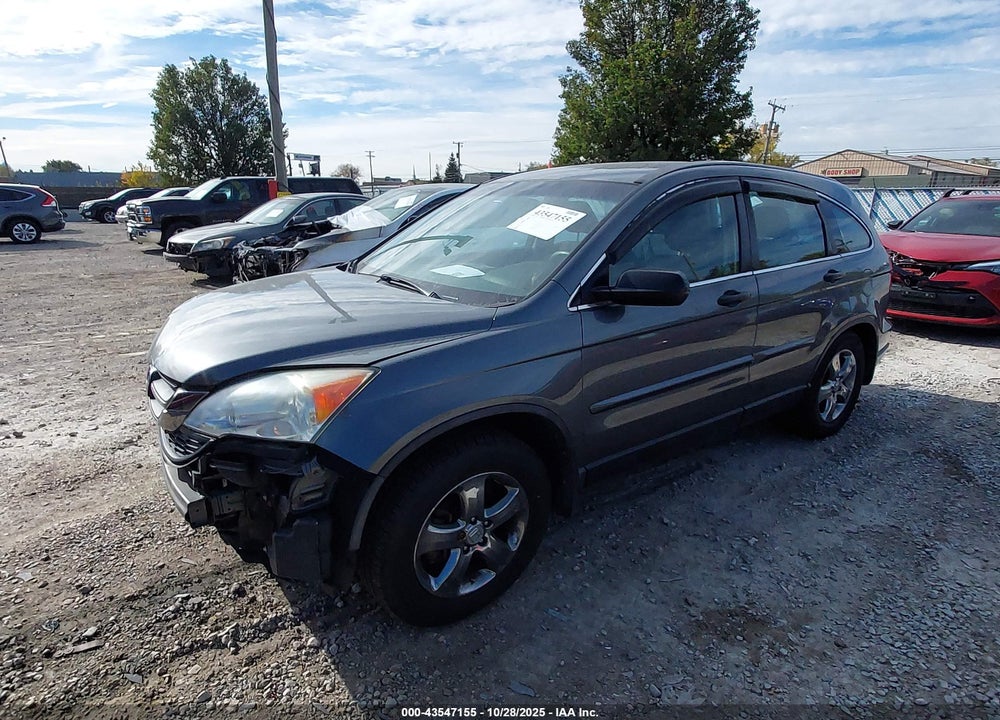 2010 HONDA CR-V LX VIN: 5J6RE4H37AL052654