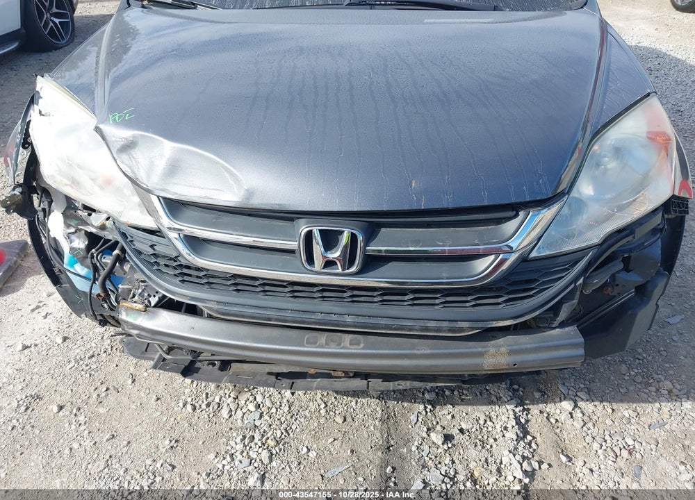 2010 HONDA CR-V LX VIN: 5J6RE4H37AL052654