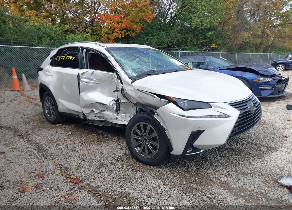 2018 LEXUS NX 300 VIN: JTJYARBZ2J2107392