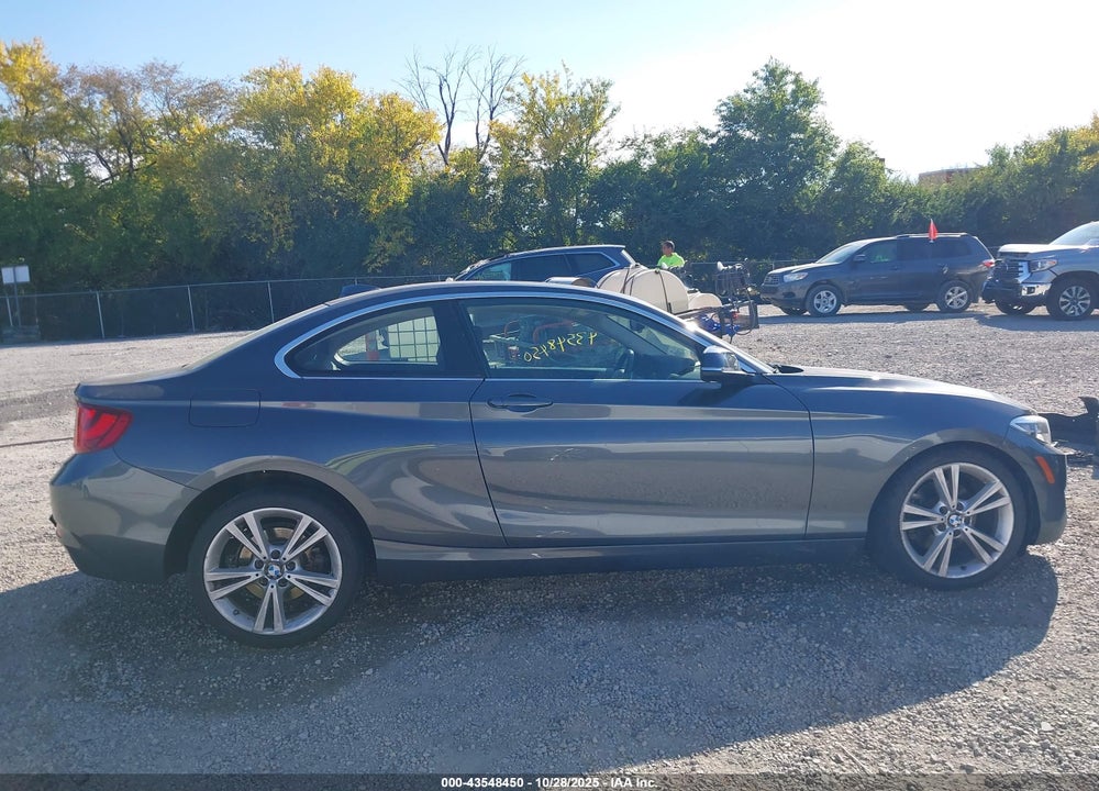 2015 BMW 228I XDRIVE VIN: WBA1F7C57FVX96354