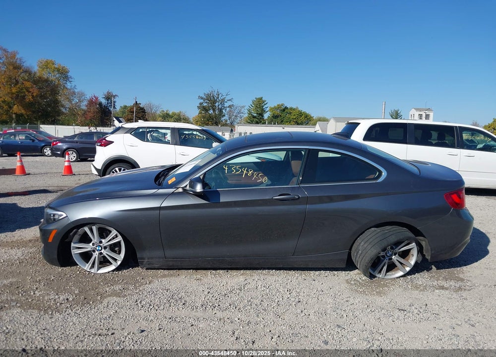 2015 BMW 228I XDRIVE VIN: WBA1F7C57FVX96354