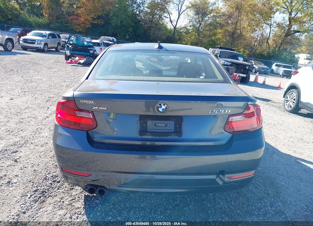 2015 BMW 228I XDRIVE VIN: WBA1F7C57FVX96354