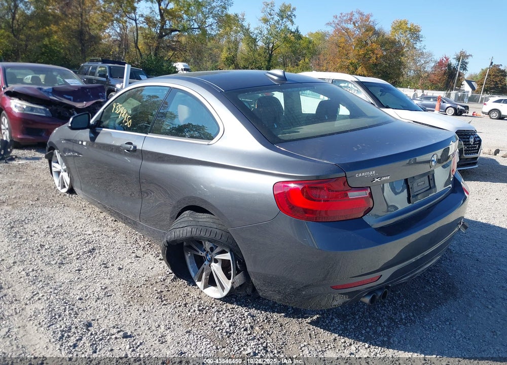 2015 BMW 228I XDRIVE VIN: WBA1F7C57FVX96354
