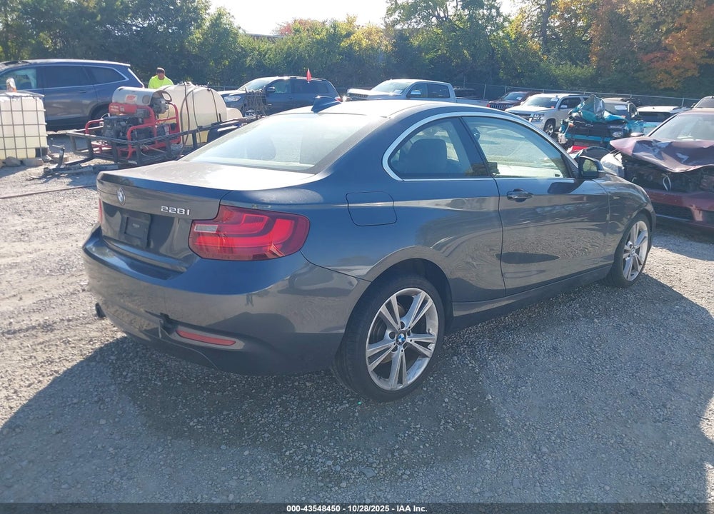 2015 BMW 228I XDRIVE VIN: WBA1F7C57FVX96354