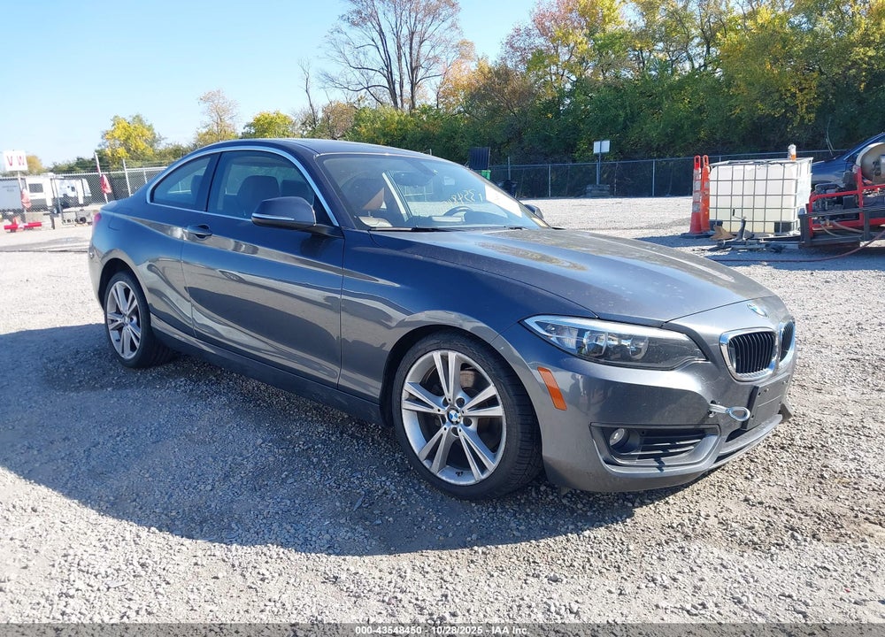 2015 BMW 228I XDRIVE VIN: WBA1F7C57FVX96354
