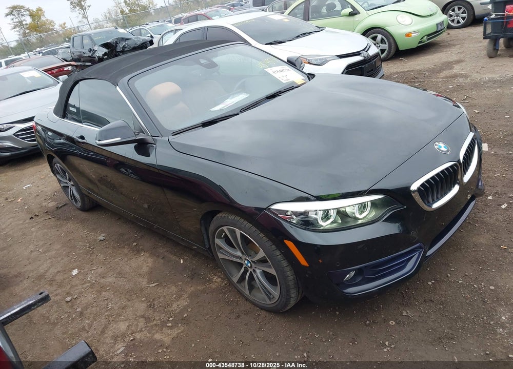 2018 BMW 230I XDRIVE VIN: WBA2K1C53JVD40943