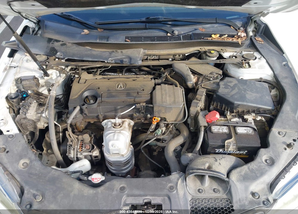 2017 ACURA TLX VIN: 19UUB1F38HA008325