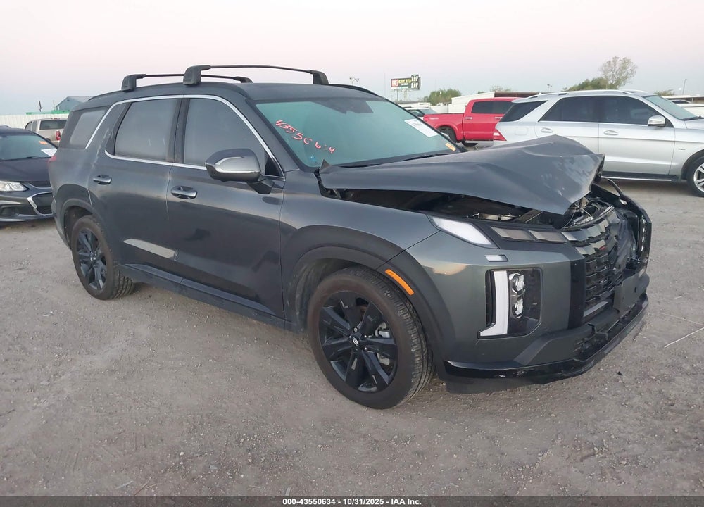 2025 HYUNDAI PALISADE XRT VIN: KM8R34GE5SU875847