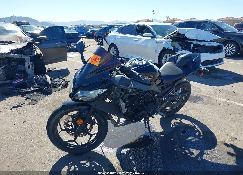 2014 KAWASAKI EX300 A VIN: JKAEX8A19EA005748