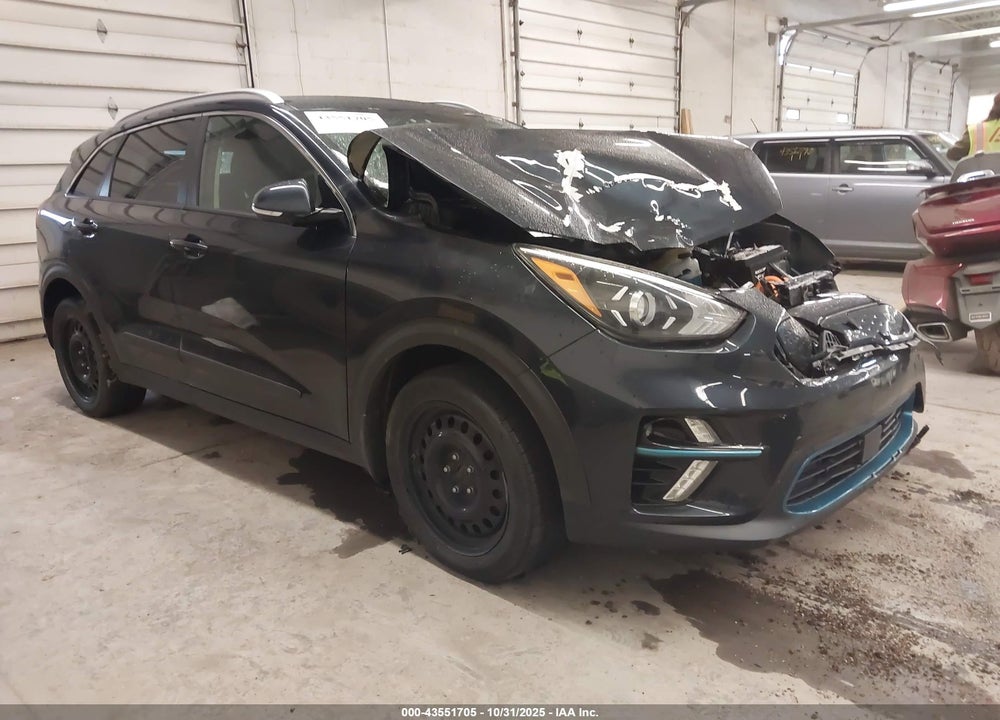2020 KIA NIRO EV EX VIN: KNDCC3LG8L5070982