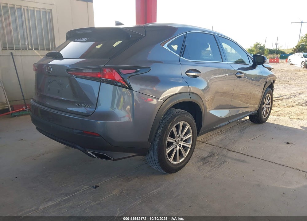 2019 LEXUS NX 300 VIN: JTJYARBZ8K2124814