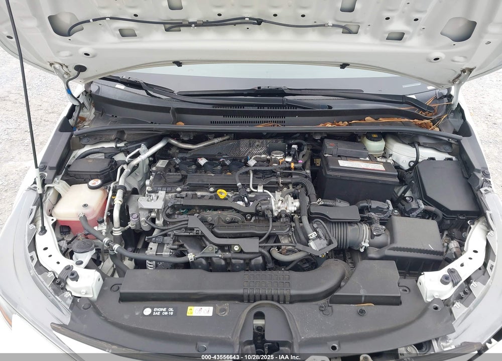 2019 TOYOTA COROLLA SE VIN: JTNK4RBE4K3064503
