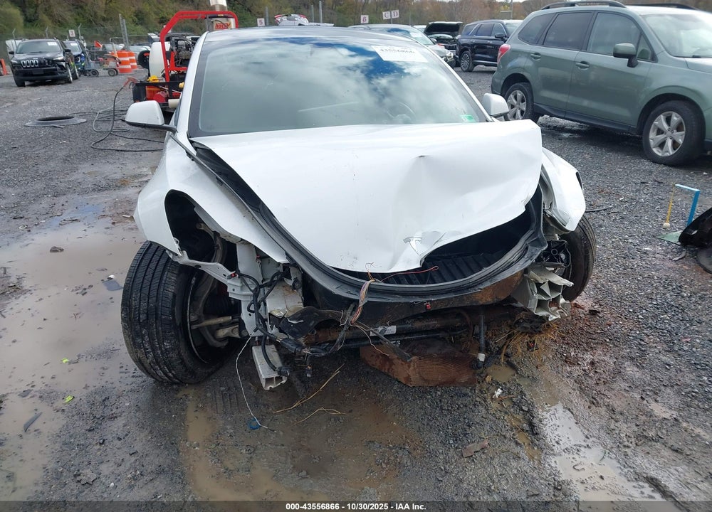 2021 TESLA MODEL 3 PERFORMANCE DUAL MOTOR ALL-WHEEL DRIVE VIN: 5YJ3E1EC2MF062658