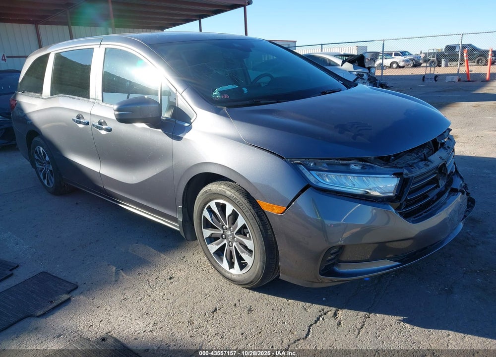 2024 HONDA ODYSSEY EX-L VIN: 5FNRL6H61RB073645