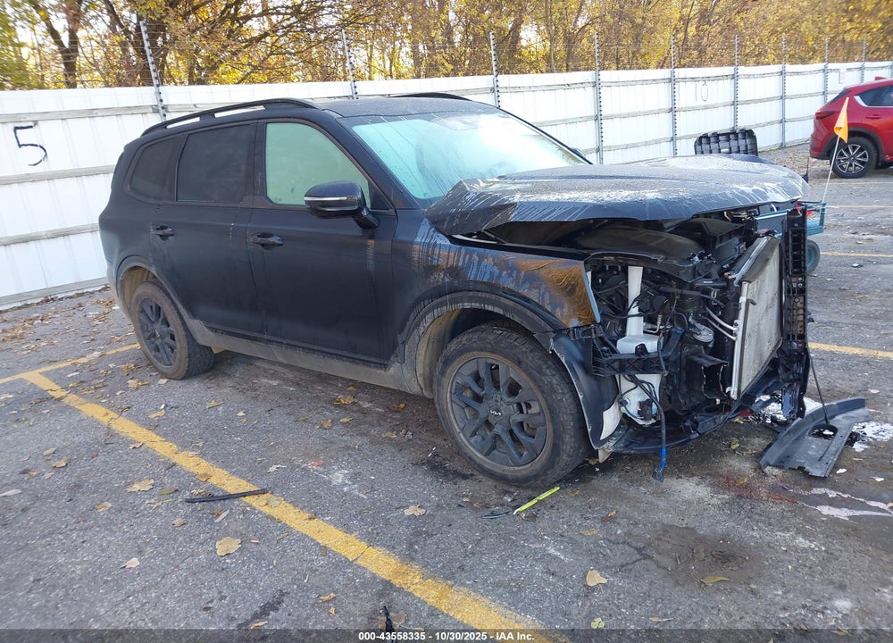 2024 KIA TELLURIDE SX PRESTIGE X-PRO VIN: 5XYP5DGC3RG411309