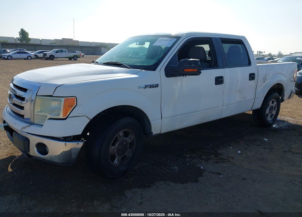2011 FORD F-150 XLT VIN: 1FTFW1CF3BFD13817