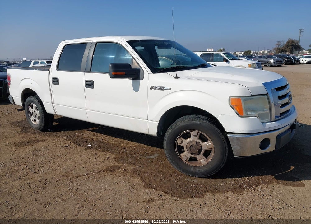 2011 FORD F-150 XLT VIN: 1FTFW1CF3BFD13817