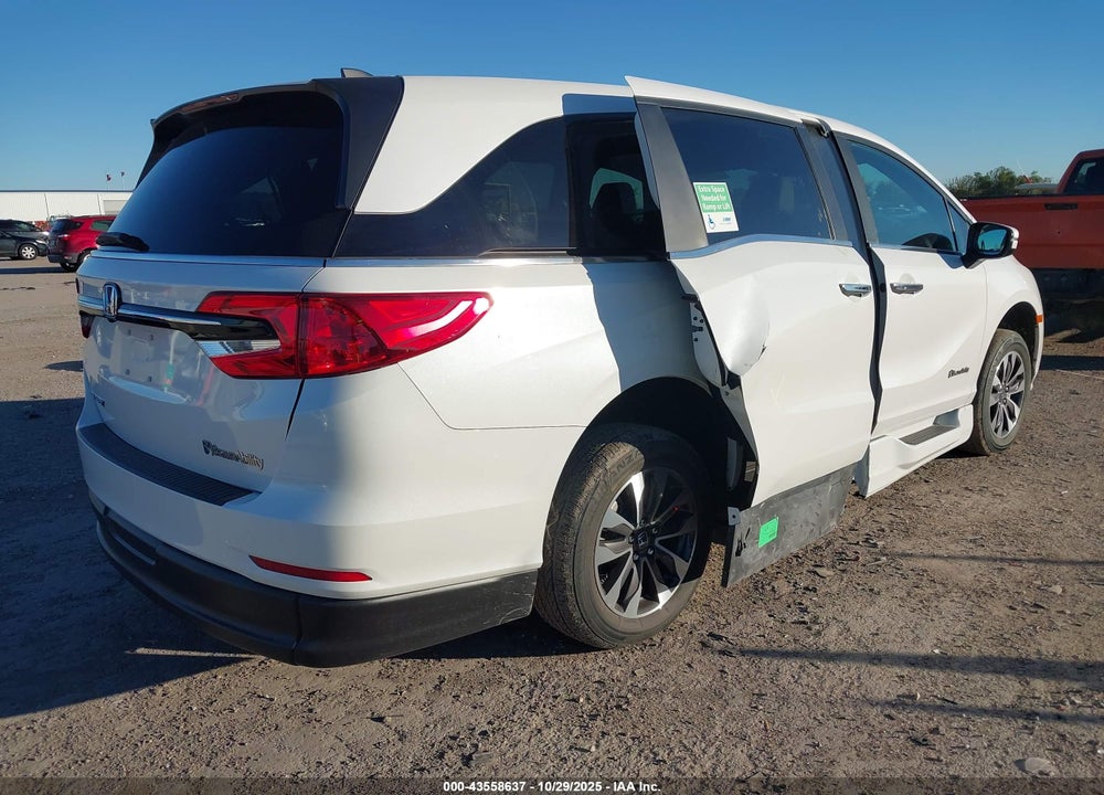 2024 HONDA ODYSSEY EX-L VIN: 5FNRL6H64RB021443