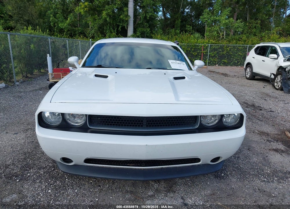 2013 DODGE CHALLENGER SXT VIN: 2C3CDYAG5DH693813