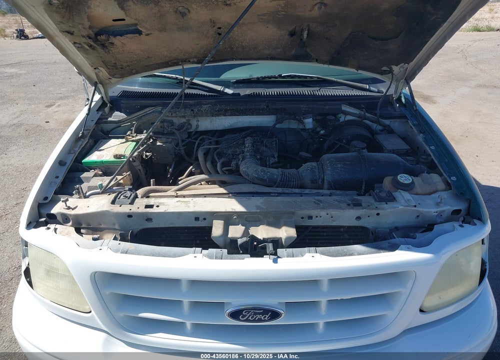 2002 FORD F-150 XL/XLT VIN: 1FTRF17212NA98934