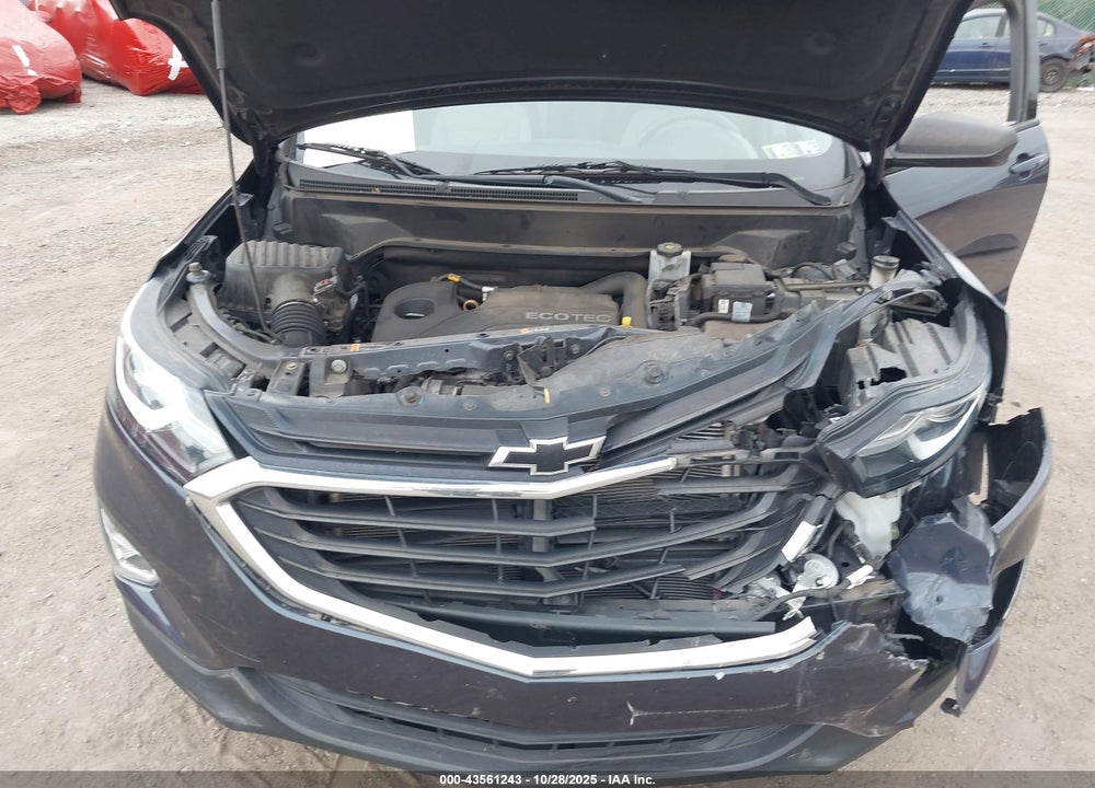 2019 CHEVROLET EQUINOX LS VIN: 3GNAXSEVXKL146824