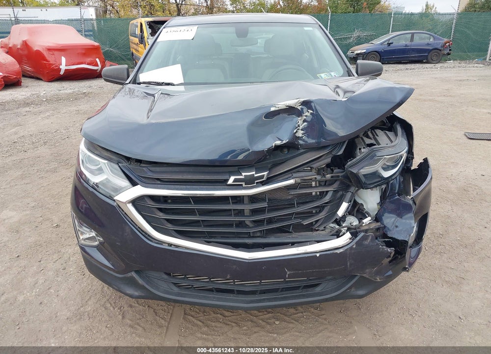 2019 CHEVROLET EQUINOX LS VIN: 3GNAXSEVXKL146824