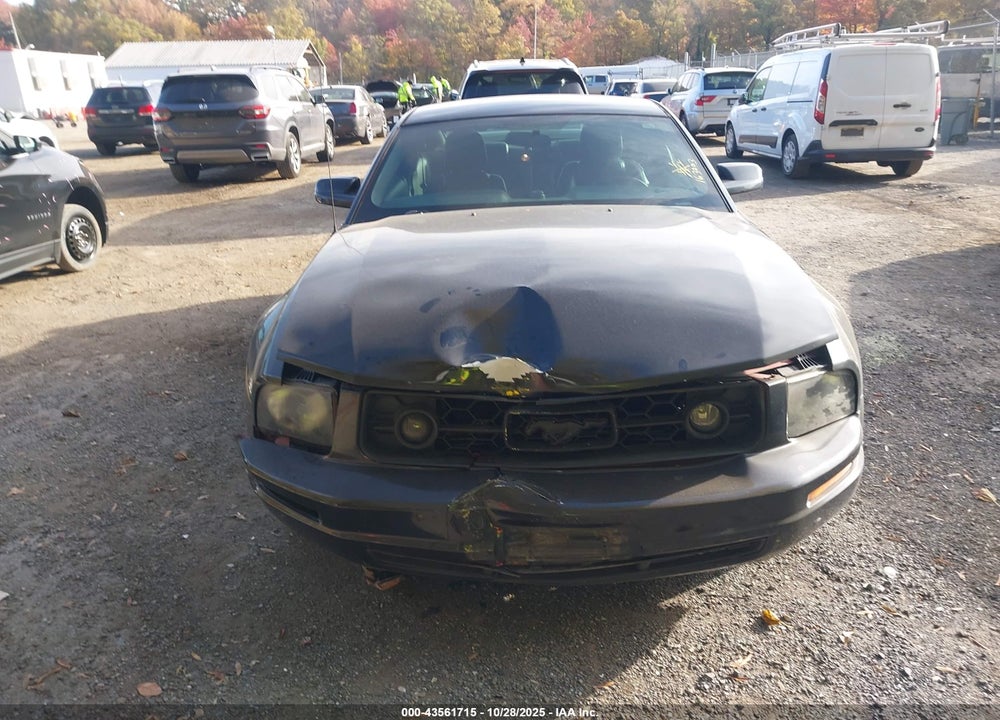 2006 FORD MUSTANG V6 VIN: 1ZVHT80N865119329