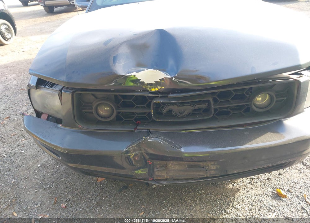 2006 FORD MUSTANG V6 VIN: 1ZVHT80N865119329