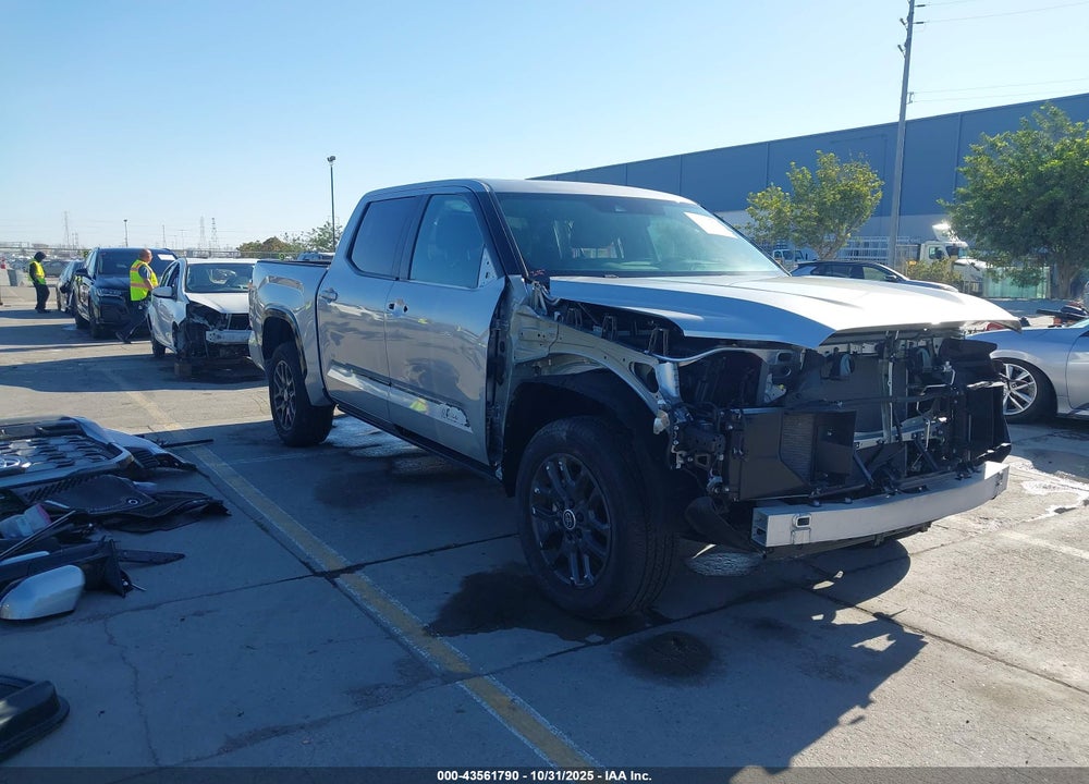 2024 TOYOTA TUNDRA PLATINUM VIN: 5TFNA5DB7RX130230