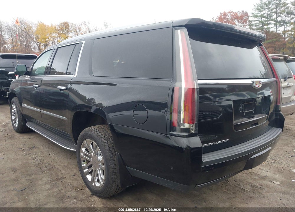 2018 CADILLAC ESCALADE ESV STANDARD VIN: 1GYS4GKJ0JR174301